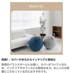 バランスボール　おしゃれ　の画像