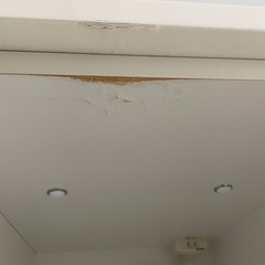 至急　ニトリ　リガーレ　価格相談可の画像