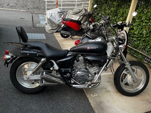 ブイツインマグナ250