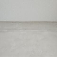 薄めのラグの画像