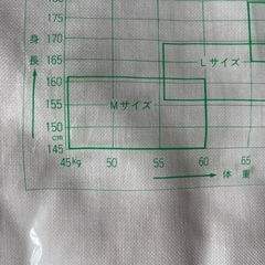 新品　着物用下着の画像