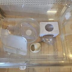 美品✨ハムスター飼育セットの画像