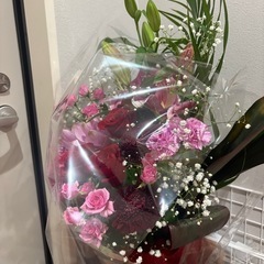 花の画像