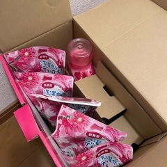 【決まりました】ボールド ギフトセットの画像