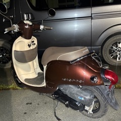 ホンダ ジョルノ AF70の画像