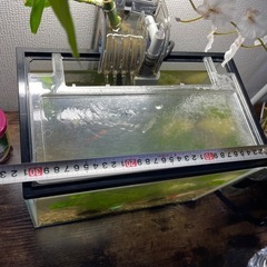 小型水槽セットです。写真に写っているものがすべて含まれています。すぐに飼育を始められます。の画像