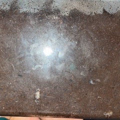 カブトムシ幼虫何匹でもいいので
貰って下さいの画像