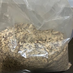成虫管理マット 針葉樹の画像