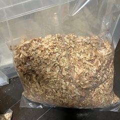 成虫管理マット 針葉樹の画像