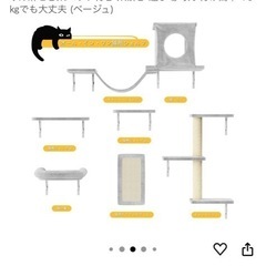 キャットウォークの画像