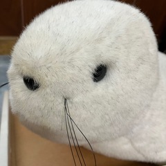 【期間限定】ルスツリゾート アザラシ ジャンボぬいぐるみの画像