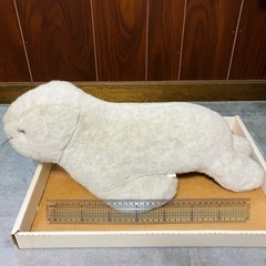 【期間限定】ルスツリゾート アザラシ ジャンボぬいぐるみの画像