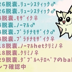 脱囊情報 🔔\(˘͈ᵕ ˘͈♡)ஐ