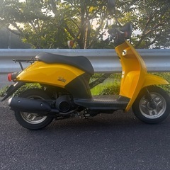 自賠責約2年付き　ホンダ　トゥデイの画像