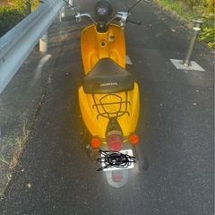 自賠責約2年付き　ホンダ　トゥデイの画像