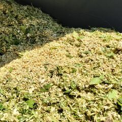 ウッドチップ作ります - 手伝いたい/助けたい