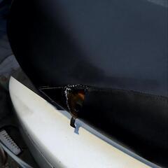 ジグナスX  低走行 19970kmの画像
