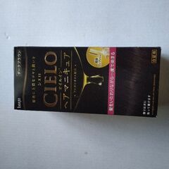 ヘアマニキュア  ５００円の画像