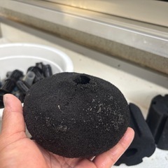 メダカ　金魚飼育 スポンジフィルターの画像