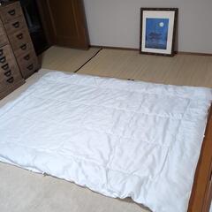 [決定]　TreeSLEEPERの合掛け布団シングルの画像