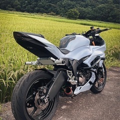 ZX6R 636 カワサキ　
ニンジャの画像