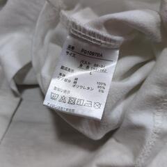 半袖Tシャツの画像