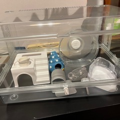 ハムスタースタートセット①の画像