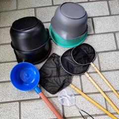 高級三色メダカと飼育備品 1式の画像