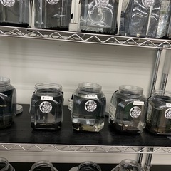 宇部新鮮館厚南店　メダカ　めだかの画像