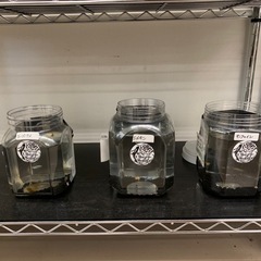 宇部新鮮館厚南店　メダカ　めだかの画像