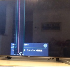 【ジャンク】モニターパネルが壊れたソニーテレビ の画像
