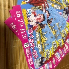 さくらサーカス2025年　20枚の画像