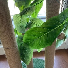 猫　爪とぎ　おもちゃの木(ヤシの木のようなもの)の画像