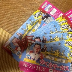 さくらサーカス2025年　10枚の画像
