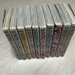 【完結セット・引き取りのみ】絶園のテンペスト 全10巻の画像
