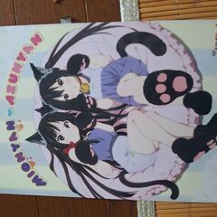 ハルヒの小説と何かの下敷きの画像