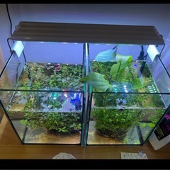 水草用ライト　タイマー付き伸縮可の画像