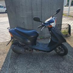 スズキの画像