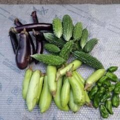 完売御礼！今朝とれたて野菜　籾米もありますの画像