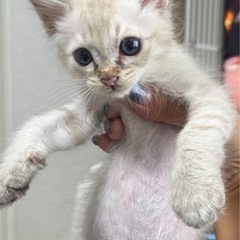 7/20頃生まれた男の子