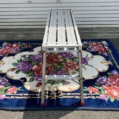 アルミ洗車台★脚立★コメリの画像