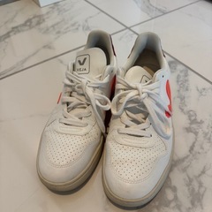 VEJA スニーカーの画像