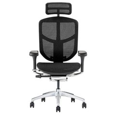 新型 エルゴヒューマン エンジョイ2 Ergohuman Enjoy2 ハイタイプ EJ2-HAM の画像
