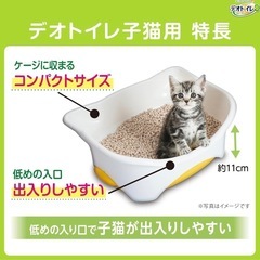 猫の画像