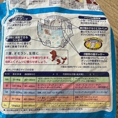 犬　オムツMサイズの画像