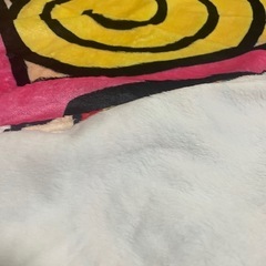 ヒスミニ 新品 ブランケット お昼寝 保育園 ひざ掛け 冷房対策 昼寝布団の画像
