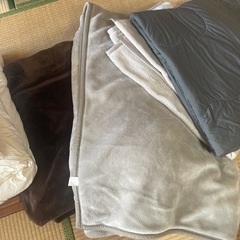 冷感、羽毛布団、毛布の画像