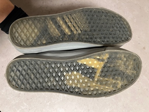 VANS SOPHNET. オールドスクール OLD SKOOL 27.5cm