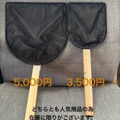 メダカの画像