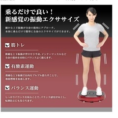 アルインコ 2D 振動マシン  バランスウェーブの画像